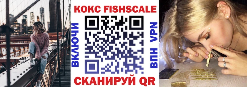 КОКАИН FishScale  МЕГА   Дмитров  сколько стоит 