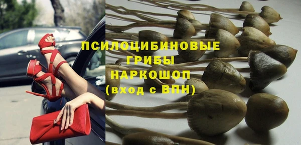 прущие крисы Магадан
