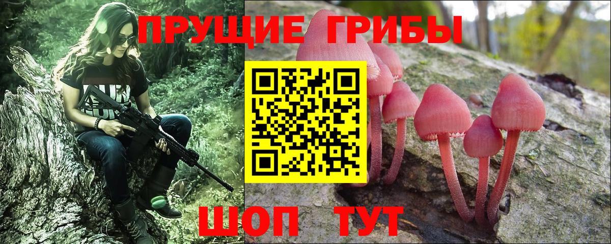 Галлюциногенные грибы Magic Shrooms Дмитров