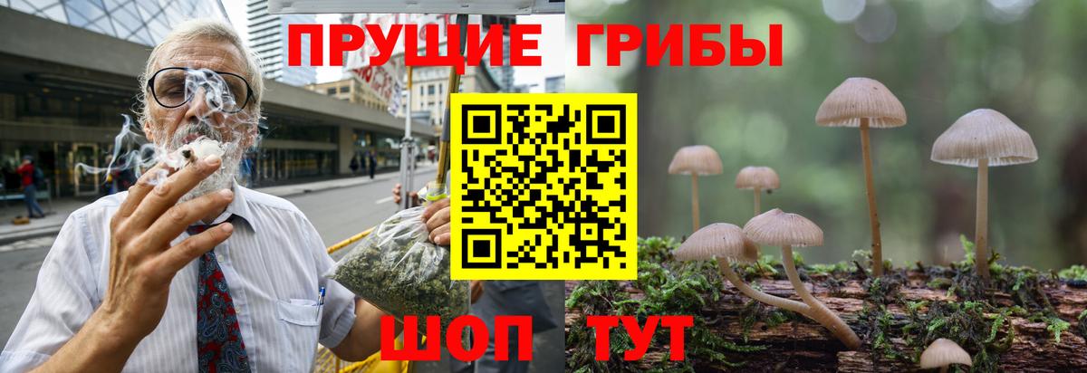 Псилоцибиновые грибы Psilocybine cubensis  Псилоцибиновые грибы мицелий  Дмитров 