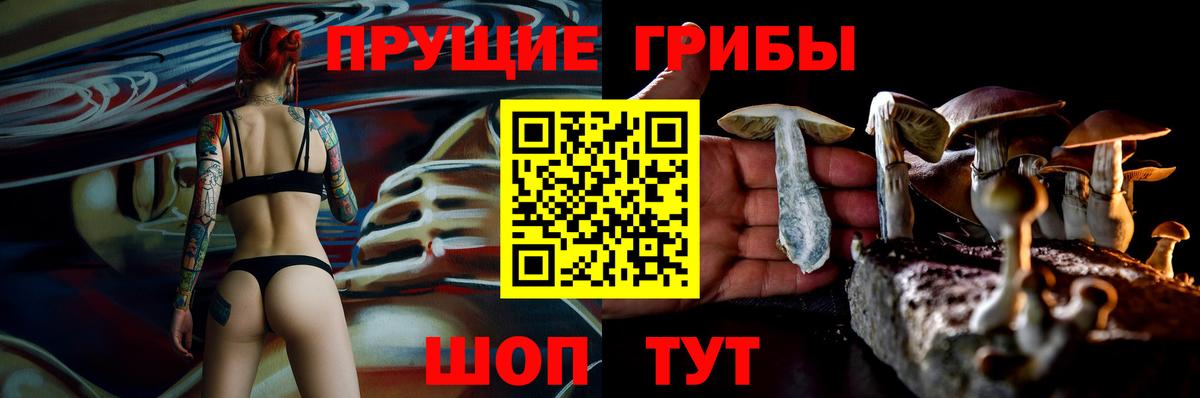 Дмитров  Псилоцибиновые грибы Magic Shrooms  Вход с VPN  Галлюциногенные грибы Psilocybine cubensis 