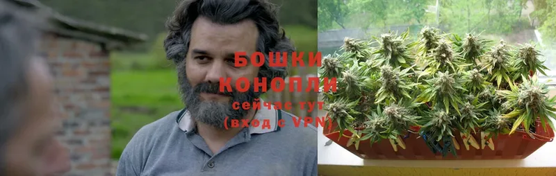 купить наркотики сайты  Дмитров  Каннабис SATIVA & INDICA 